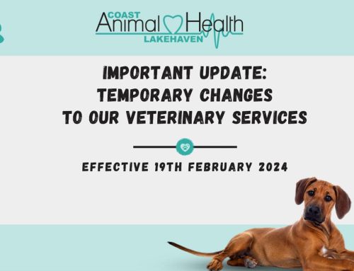 Important Update Regarding Veterinary Services at Coast Animal Health